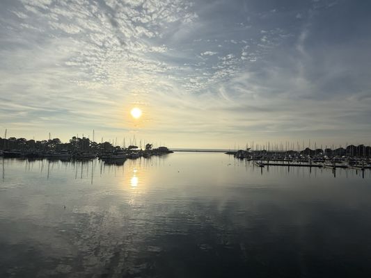 City Cruises by null