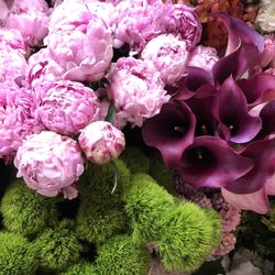 Larchmont Florist