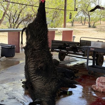 Independence Ranch - Wildlife Hunting Ranges Near Me - Waelder, Texas