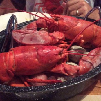 Terrace Tavern - Delicious Big Lobster Pot for 2 - Bars Near Me - Beach Haven, New Jersey Terrace Tavern - Delicious Big Lobster Pot for 2 - Bars Near Me - Beach Haven, New Jersey