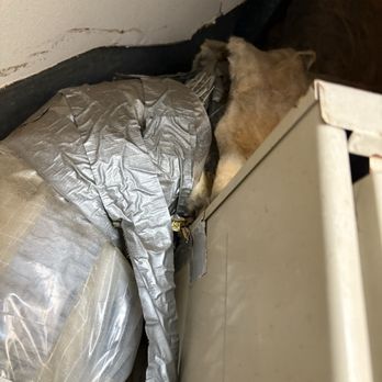 Sky Clean Air - Old insulation - Air Duct Cleaning Near Me - San Diego, California Sky Clean Air - Old insulation - Air Duct Cleaning Near Me - San Diego, California