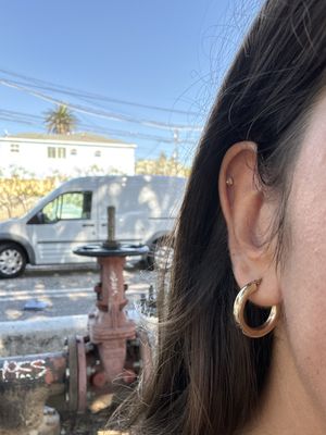 The Apollo Tattoo & Piercing Studio by null