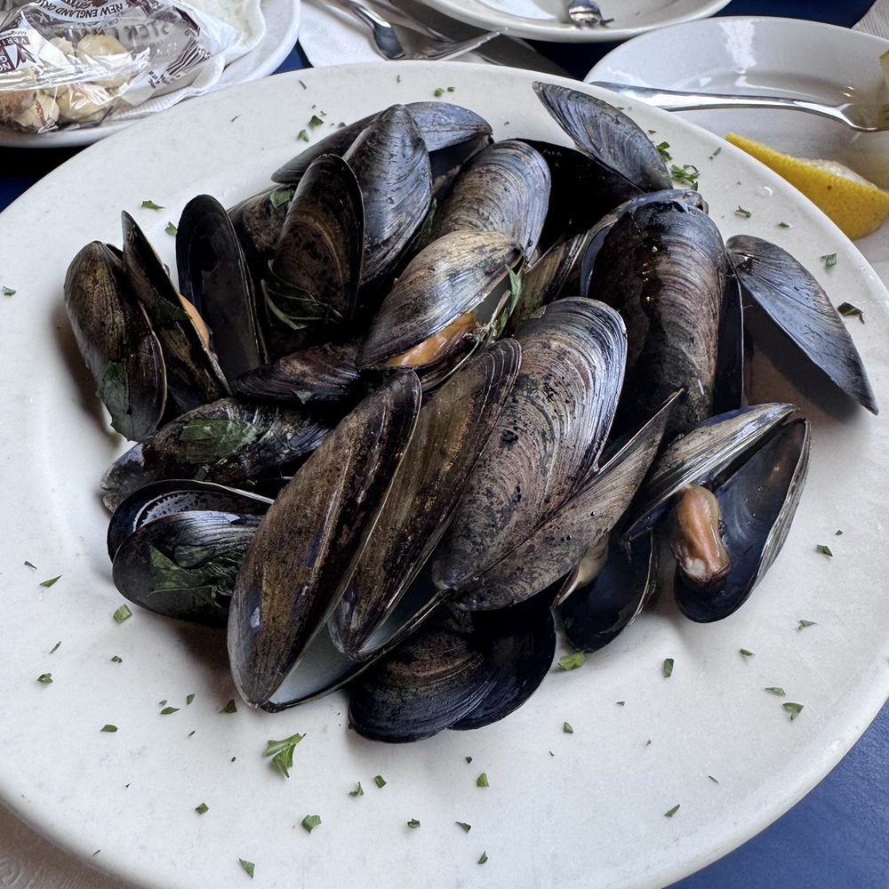 Boston Sail Loft - Steamed Mussels - Bars Near Me - Boston, Massachusetts Boston Sail Loft - Steamed Mussels - Bars Near Me - Boston, Massachusetts