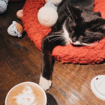 Koneko - The house cat and cat latte - Breakfast & Brunch Near Me - New York, New York