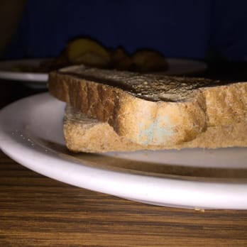 Our Place Restaurant - Moldy toast - New American Near Me - Moreno Valley, California Our Place Restaurant - Moldy toast - New American Near Me - Moreno Valley, California