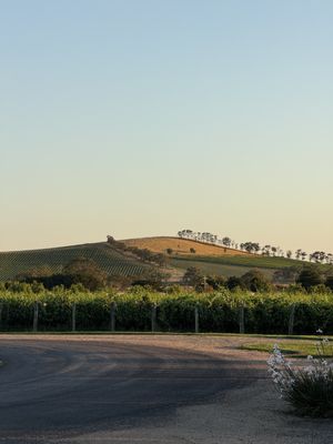 The Farmhouse at Meletos by null