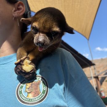 Wild Wonders - Zoos Near Me - Bonsall, California