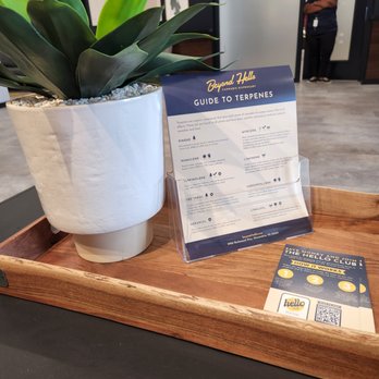 Beyond Hello - Alexandria - Helpful handouts - Cannabis Clinics Near Me - Alexandria, Virginia Beyond Hello - Alexandria - Helpful handouts - Cannabis Clinics Near Me - Alexandria, Virginia