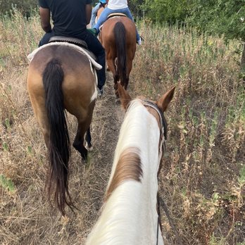 Touch of Chrome Trail Rides - Horseback Riding Near Me - Crowley, Texas Touch of Chrome Trail Rides - Horseback Riding Near Me - Crowley, Texas
