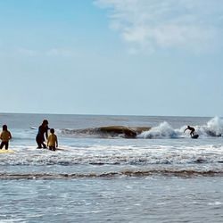 Avalon Surf Camp