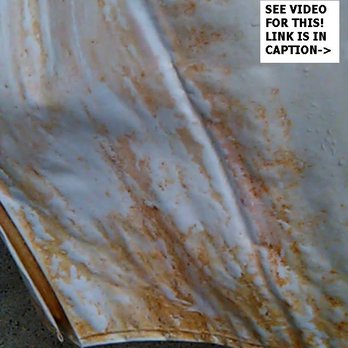East Valley YMCA - Mildew covered shower curtain. Poor little boys had this SLIME against their skin. SEE VIDEO: youtu.be/-P3sefceo_s - Gyms Near Me - North Hollywood, California