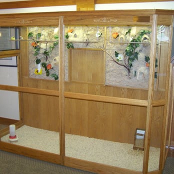 Villa Siena - Aviary in main entrance area - Retirement Homes Near Me - Mountain View, California