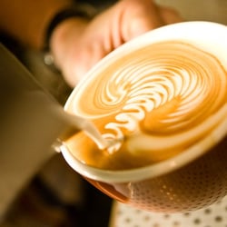 10 Speed Coffee Bar - nice pour