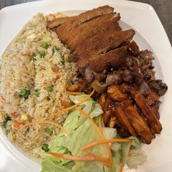 Toshi's Teriyaki - 21. Chicken, Katsu & Gyoza Chicken made spicy and fried rice sub - Japanese Near Me - Burien, Washington Toshi's Teriyaki - 21. Chicken, Katsu & Gyoza Chicken made spicy and fried rice sub - Japanese Near Me - Burien, Washington