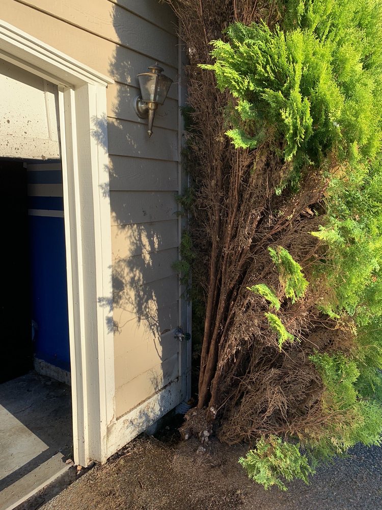 Slide of Good Plumber