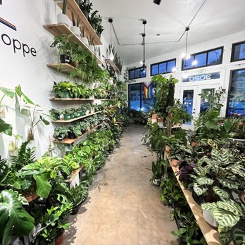 Plant Shoppe - Inside / plants - Nurseries & Gardening Near Me - San Antonio, Texas Plant Shoppe - Inside / plants - Nurseries & Gardening Near Me - San Antonio, Texas