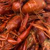 Boil House gift card