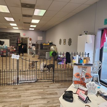 Shaggy Chic Pet Grooming - Pet Groomers Near Me - Alabaster, Alabama