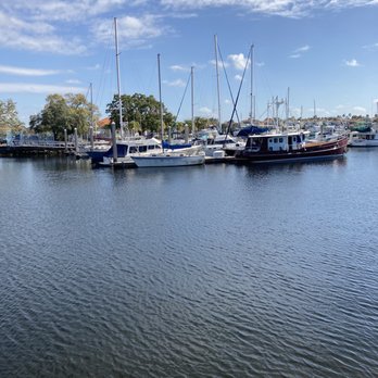 Davis Island Trail - February 2023 62° - Parks Near Me - Tampa, Florida Davis Island Trail - February 2023 62° - Parks Near Me - Tampa, Florida