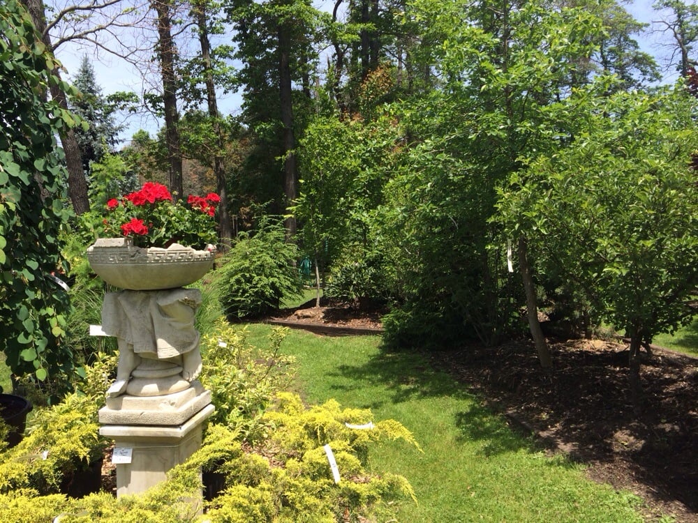 WAVECREST NURSERY & LANDSCAPING Updated October 2024 10 Photos