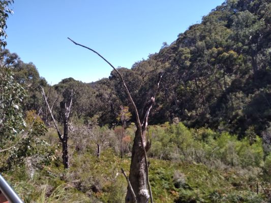 Cleland National Park by null