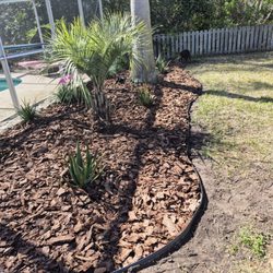 Cathy's Garden and Landscape Maintenance