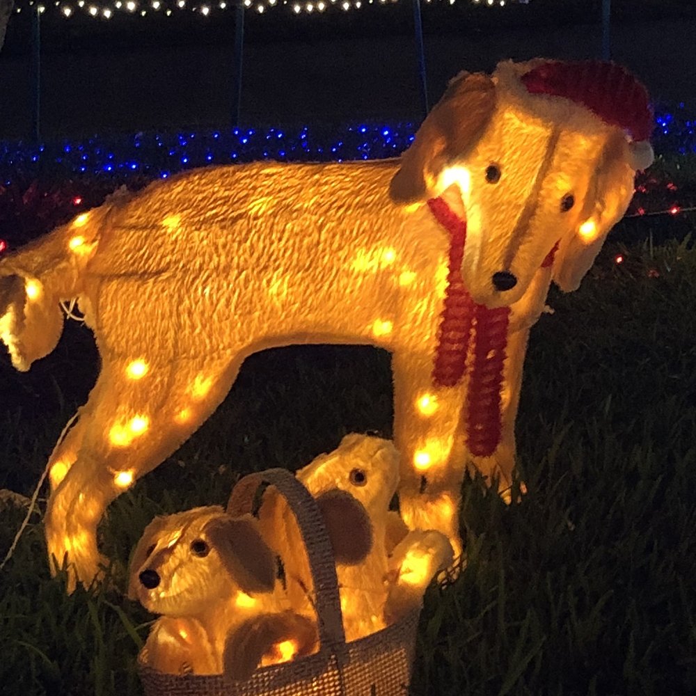 McGonigle-Collins Christmas Display - Local Flavor Near Me - Plantation, Florida