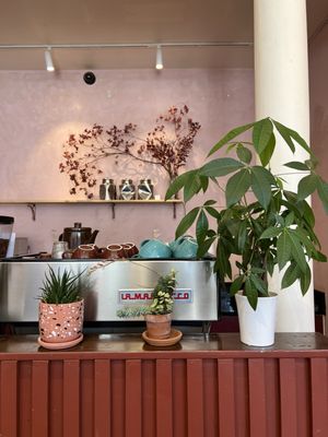 temos coffee by null