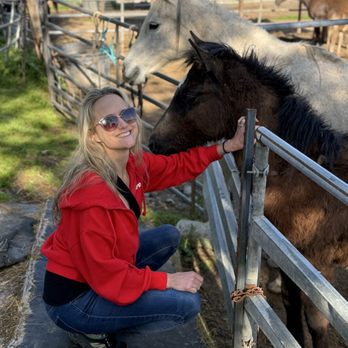 Boarding On The Lake - Horseback Riding Near Me - Granite Bay, California