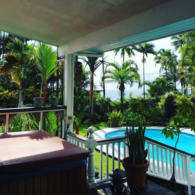 Orchid Tree Bed & Breakfast by null