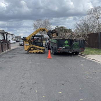 Lopez Tree Service - Pick up the brush - Tree Services Near Me Lopez Tree Service - Pick up the brush - Tree Services Near Me