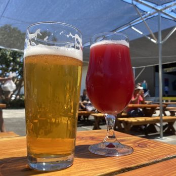 Brouwerij West - Sunday Funday - Breweries Near Me - San Pedro, California Brouwerij West - Sunday Funday - Breweries Near Me - San Pedro, California