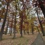 Photo of Rec Park