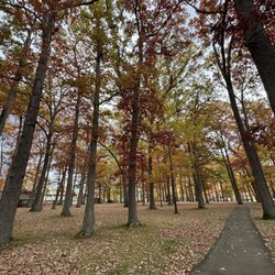 Rec Park - Beautiful color on a fall day