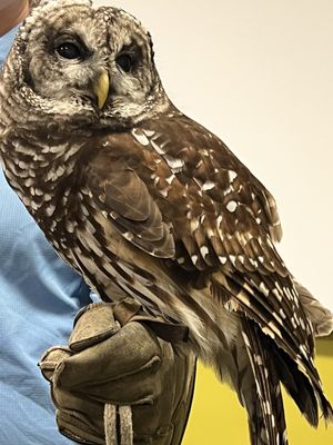 Chattahoochee Nature Center by null