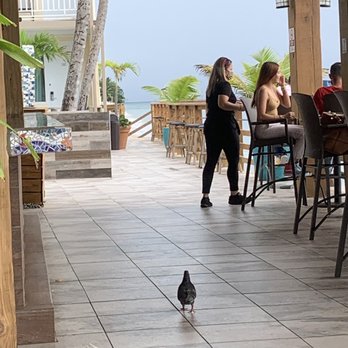 Restaurant Cofresi - Seafood Near Me - Rincón, Puerto Rico