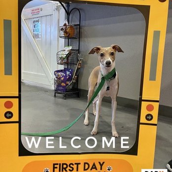Barx Parx - Pet Training Near Me - Las Vegas, Nevada