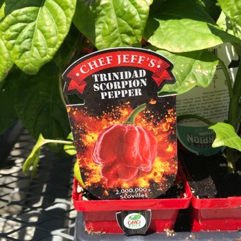 Telly’s Greenhouse - Nurseries & Gardening Near Me - Utica, Michigan