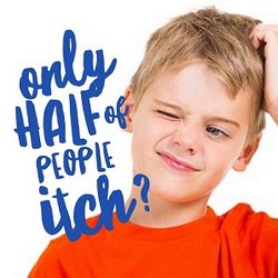 Hero Lice Clinics - Temple - Lice Services