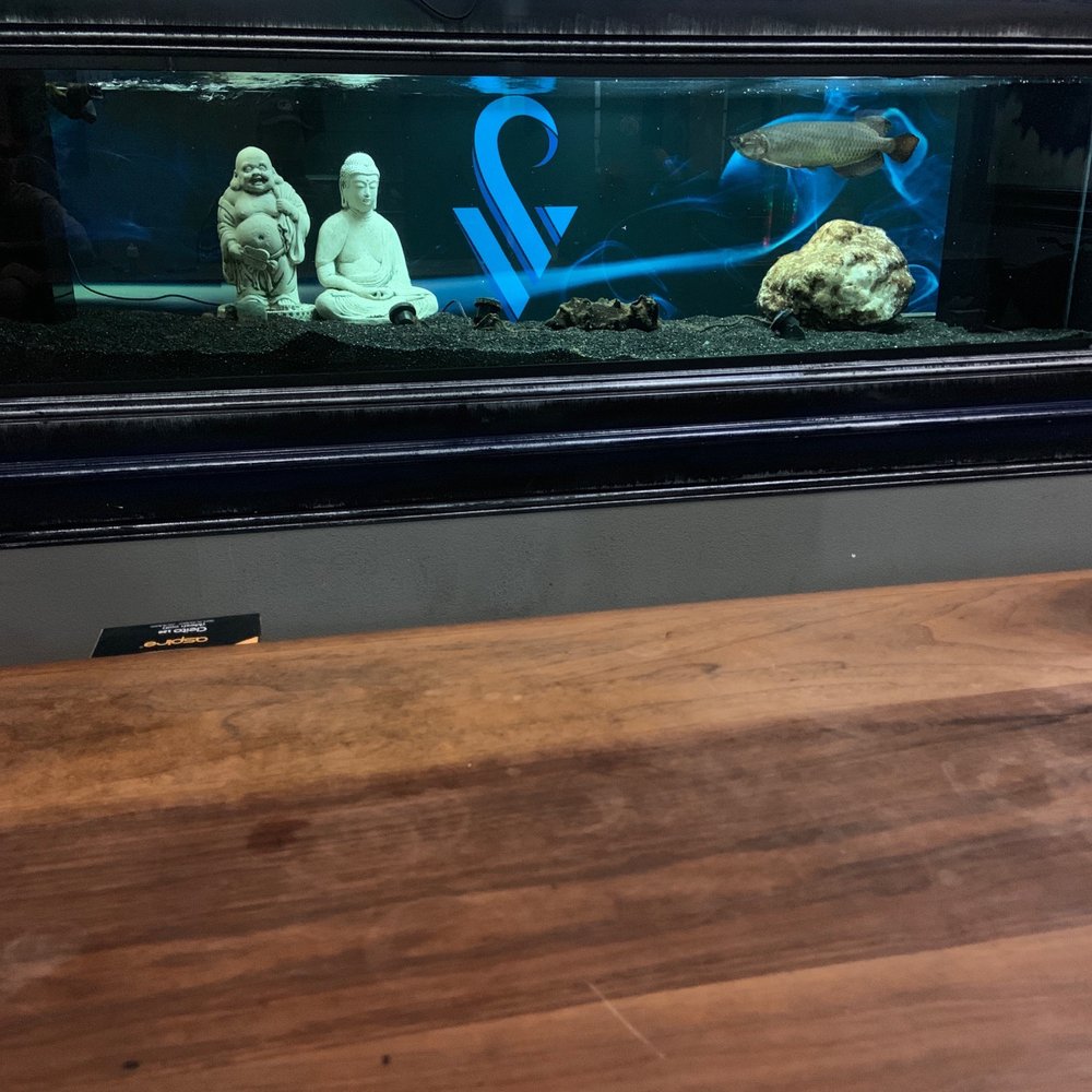Stay Vaped - Big vibe - Tobacco Shops Near Me - San Jose, California Stay Vaped - Big vibe - Tobacco Shops Near Me - San Jose, California