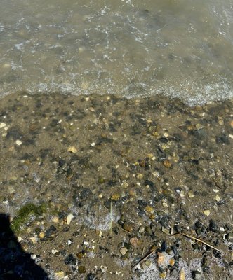 Constitution Beach by null
