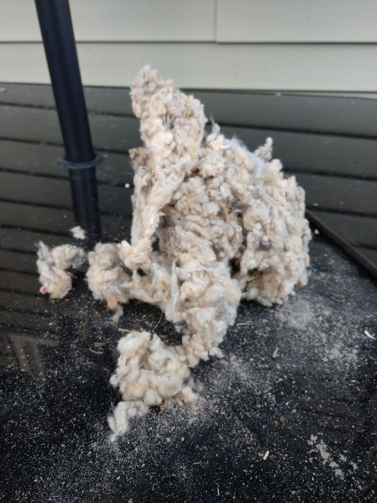 Napoli Indoor Kia 11 Photos 44 Reviews Car Dealers 241 Boston Post Rd Milford Ct Phone Number Yelp