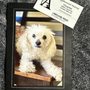 Photo of Applewood Animal Hospital