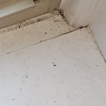 Sparkly Cleaning Service - Corner of window - Home Cleaning Near Me - Milwaukee, Wisconsin Sparkly Cleaning Service - Corner of window - Home Cleaning Near Me - Milwaukee, Wisconsin