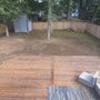 Jorge Anibal Tree Service