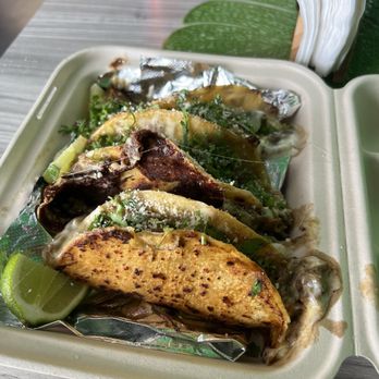 Pura Vida Ville - Birria Tacos - Mexican Near Me - Rochester, New York Pura Vida Ville - Birria Tacos - Mexican Near Me - Rochester, New York