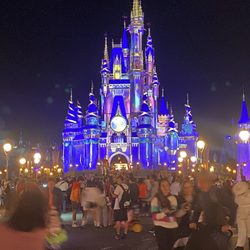 Ears of Experience - Cinderella's Castle