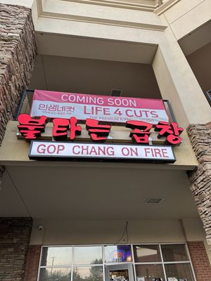 GOP CHANG ON FIRE by null