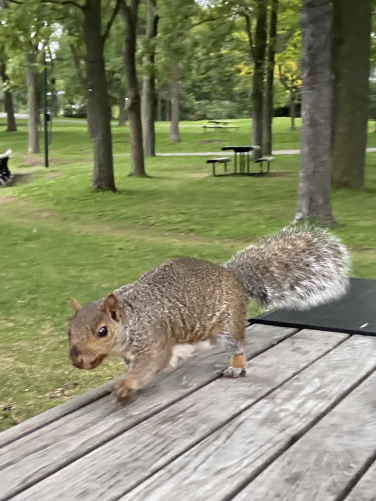 LAC AUX CASTORS Updated August 2024 13 Photos 1260 Chemin