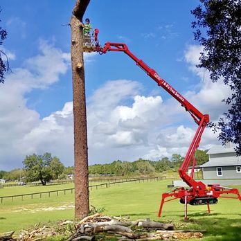 J & B's Tree Service - Excavation Services Near Me - Orange City, Florida J & B's Tree Service - Excavation Services Near Me - Orange City, Florida